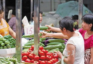 農產品打假最高獎30萬元 守護農業命脈，筑牢食品安全防線