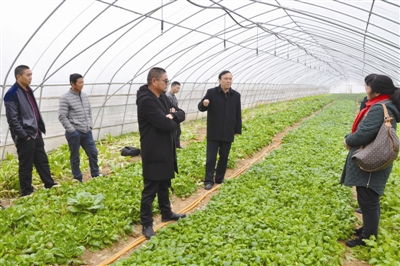 農(nóng)產(chǎn)品質(zhì)量安全科普進(jìn)田間 守護(hù)舌尖上的安全